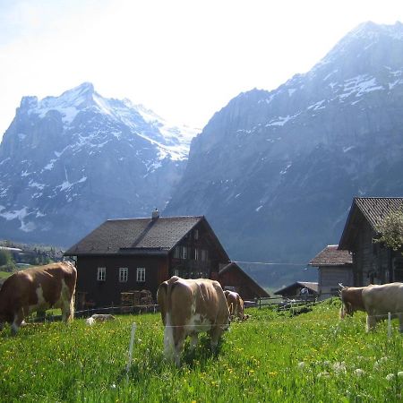 Chalet Baergblick Grindelwald Eksteriør billede