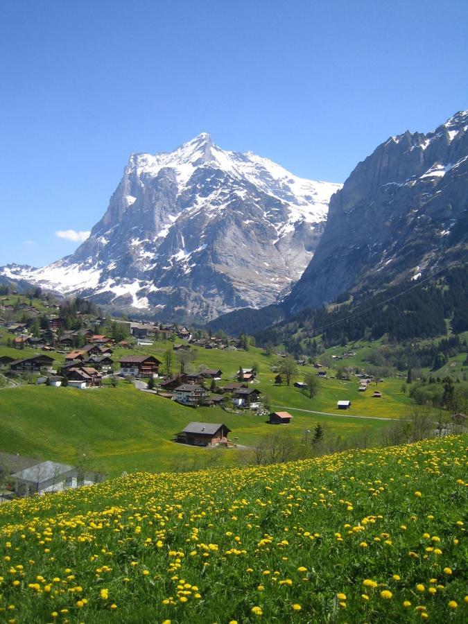 Chalet Baergblick Grindelwald Eksteriør billede
