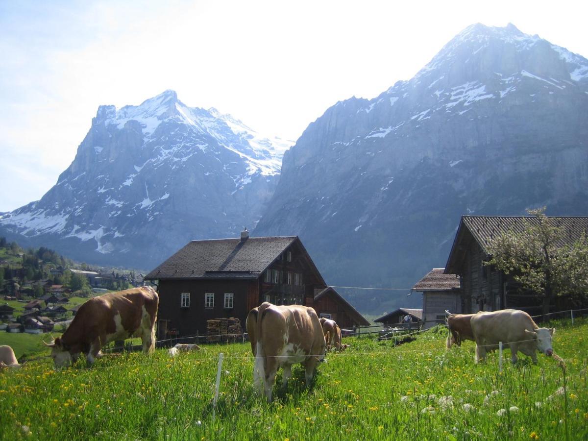 Chalet Baergblick Grindelwald Eksteriør billede