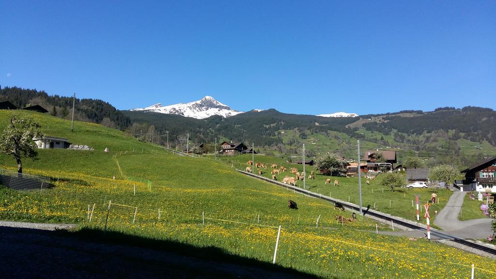 Chalet Baergblick Grindelwald Eksteriør billede