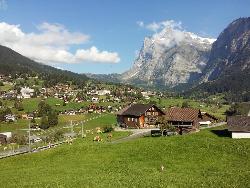 Chalet Baergblick Grindelwald Eksteriør billede